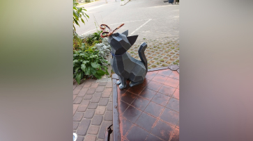 «Под зонтом появился котик»: арт-объект в Воронеже дополнили новыми деталями