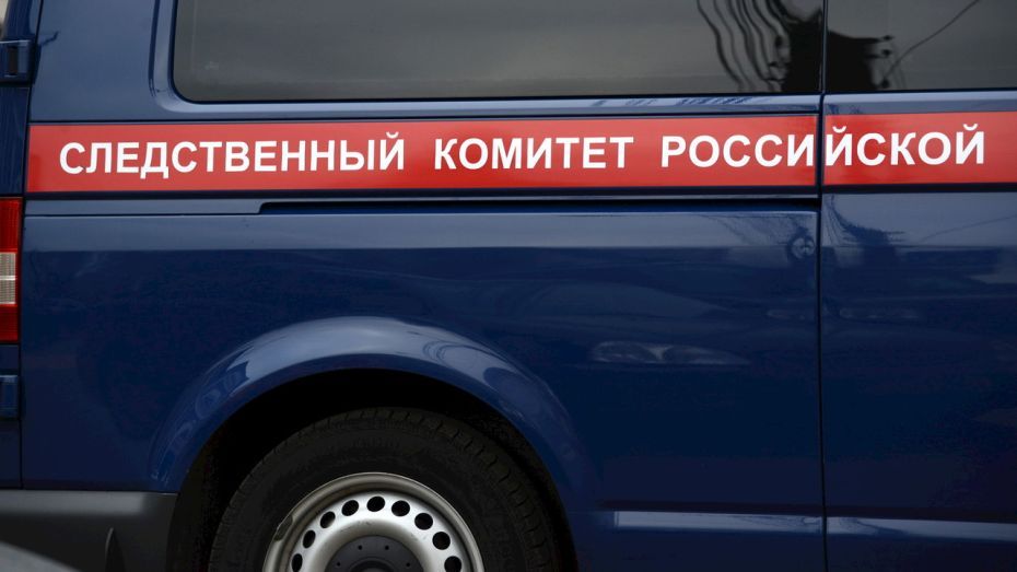 В Воронежской области 11-летнюю девочку нашли повешенной