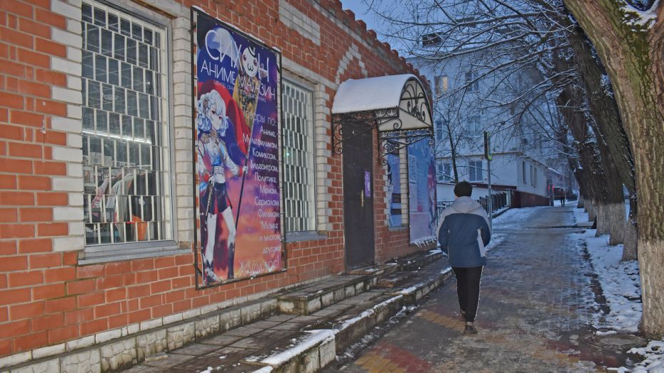 Администратора аниме-магазина в Воронежской области оштрафовали за проданную фигурку Гитлера