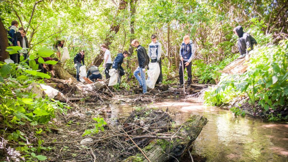 Экологические инициативы лискинцев получили грант областной акции «Родные берега»