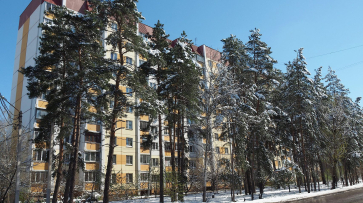 Синоптики рассказали о погоде в феврале в Воронежской области