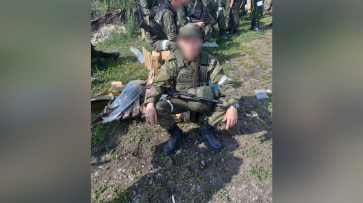 Баран по кличке Байкал спас жизнь участнику СВО из Воронежской области