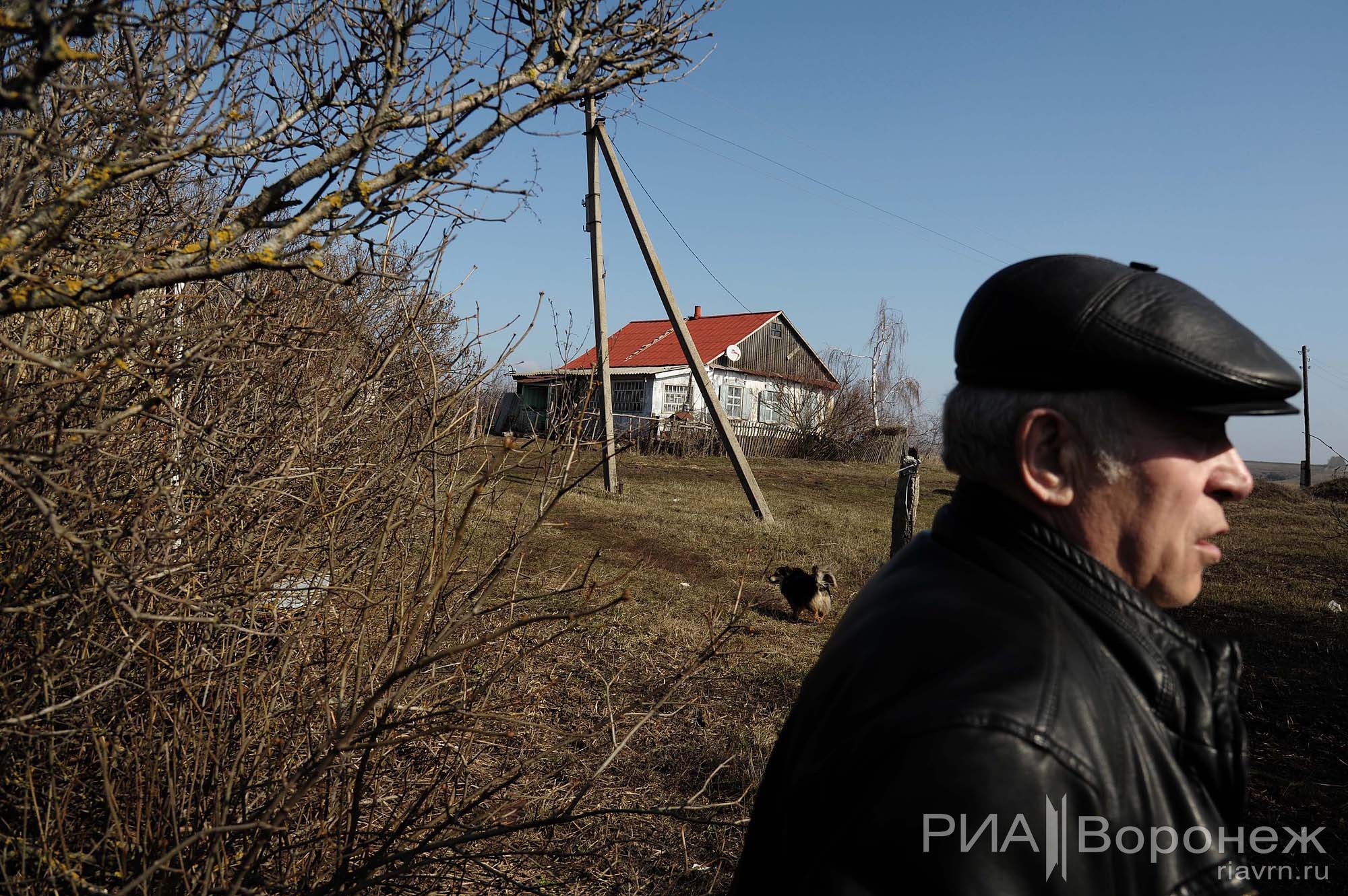 Погода село новоалександровка белгородская область. Деревня Новоалександровка. Новоалександровка Воронежская область. Новоалександровка Звенигород.